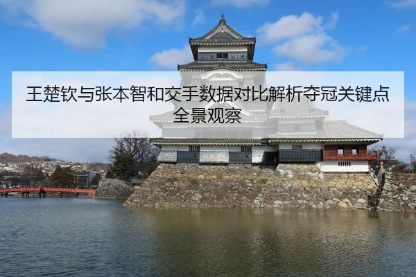 王楚钦与张本智和交手数据对比解析夺冠关键点全景观察